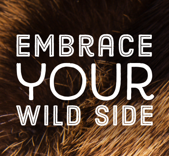 Embrace Your Wild Side