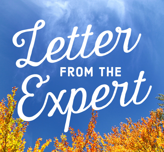 Letter From the Expert