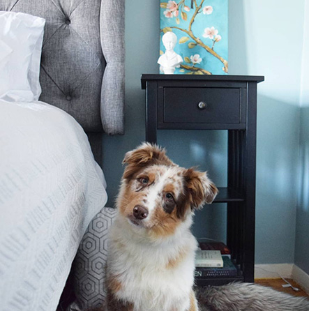 Get Inspired And See How To Make Watery SW 6478 Work In Your Home - View Room