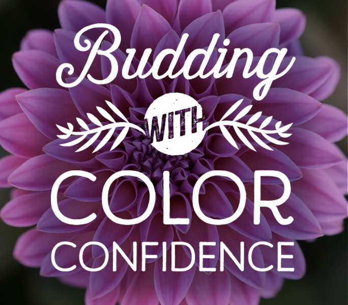Budding with Color Confidence